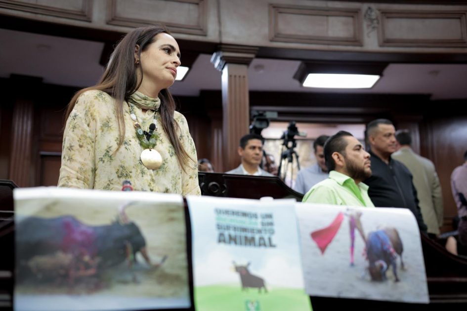 Por un Michoacán que ponga “fin a la crueldad como espectáculo”, respalda Sandra Arreola prohibición de la tauromaquia