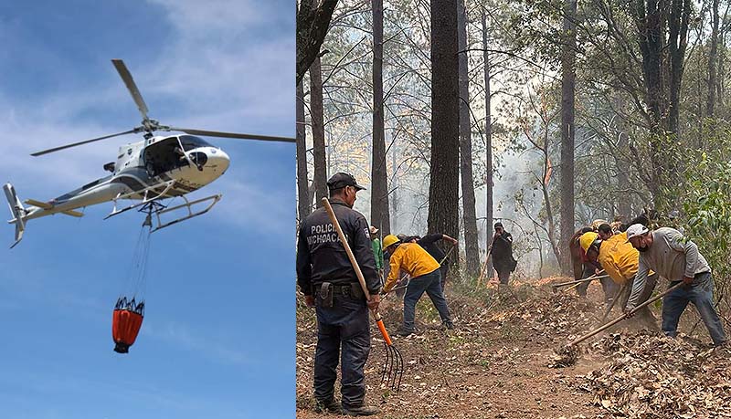 Controlado al 95 % el incendio en el Santuario de la Monarca en Senguio, Michoacán: Cofom