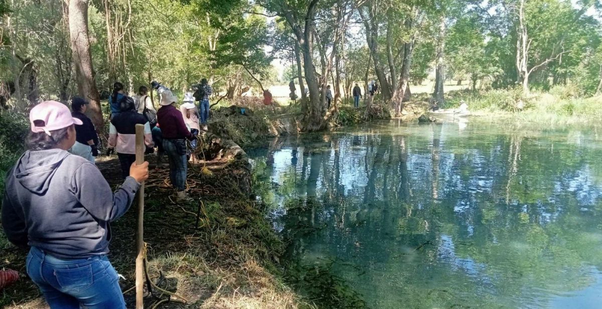 Empleos temporales impulsan el rescate del lago de Pátzcuaro