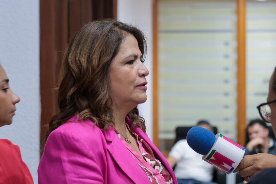 Ley contra la apología del delito no violará derecho a la libertad de expresión: Fabiola Alanís