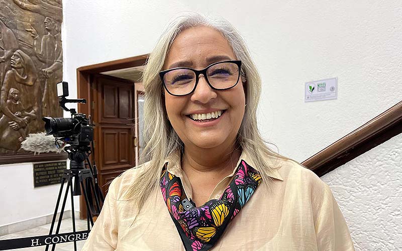 Reforma al Código Penal del Ejecutivo sin atentar contra DH y libertad de expresión: Emma Rivera