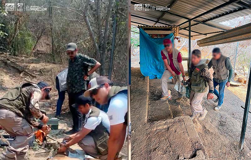 Apoya Zoológico de Morelia con traslado y resguardo de venados decomisados