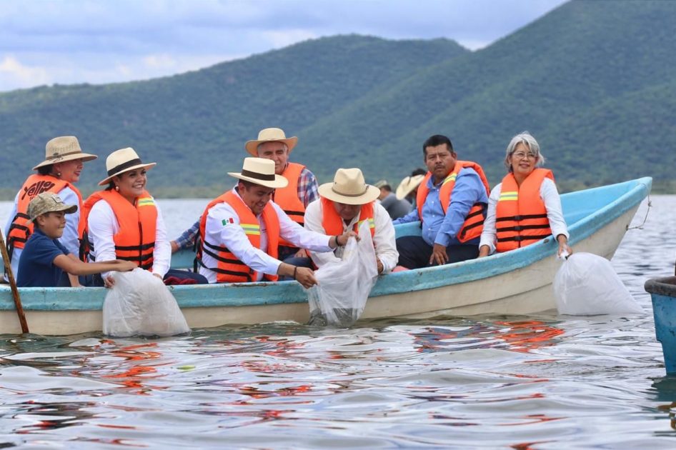 IMPI publica solicitud de denominación de origen del pez blanco: Bedolla