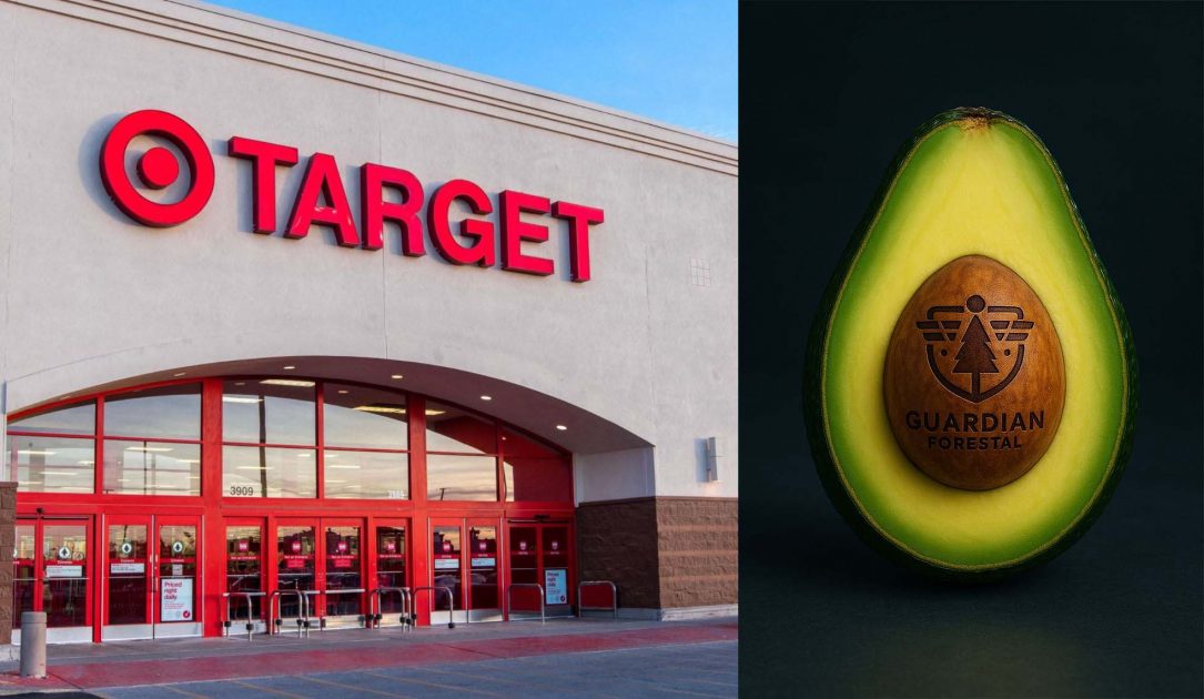 Empresa estadounidense comercializa aguacate libre de deforestación