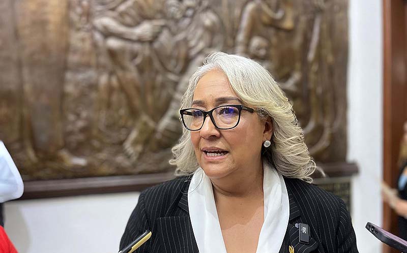 Necesitamos nuevas generaciones de políticos, con principios y valores: Emma Rivera