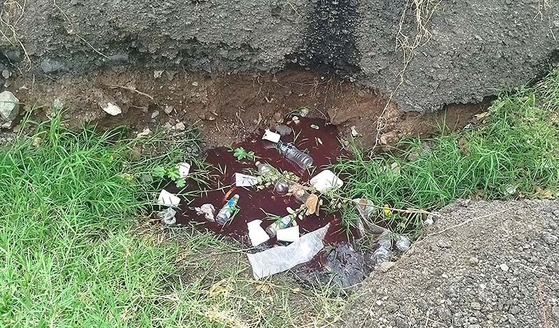 Inicia CEDH investigación por daños al medio ambiente