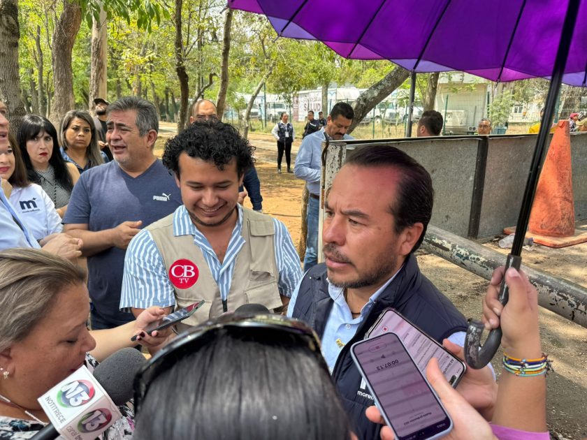 Lluvias siguen derribando árboles en calles y avenidas de Morelia.