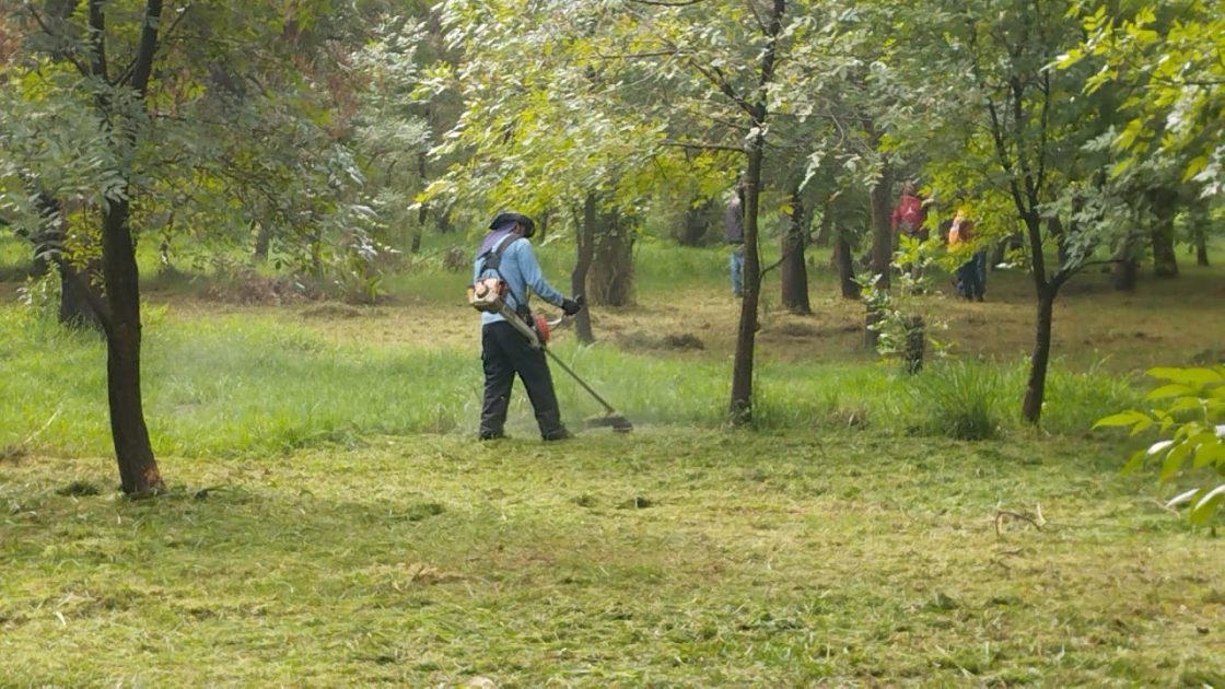 Trabaja Gobierno de Morelia en limpieza y mantenimiento de Arboretum