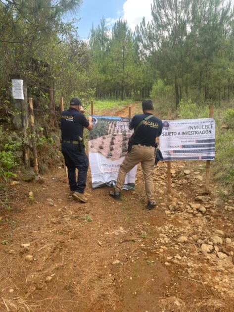 Cumplimenta FGE cateo en predio relacionado con tala y cultivo ilegal de aguacate en Salvador Escalante