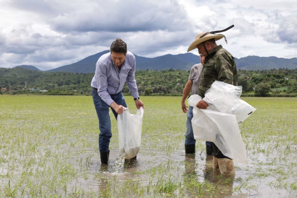 Encabeza Alfonso Martínez siembra de 100 mil ejemplares de tilapia en zona rural