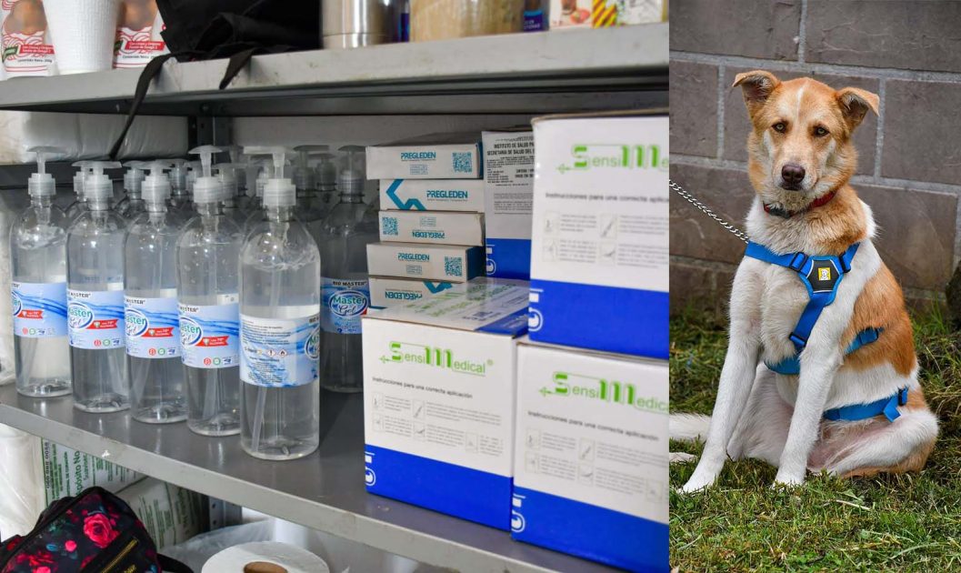 Julio Arreola Inaugura el Centro de Bienestar Animal en Pátzcuaro