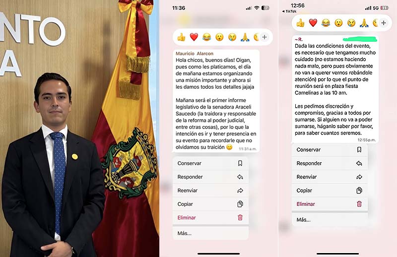 Octavio Ocampo exhibe que panistas harán complot para el informe de la senadora Araceli Saucedo