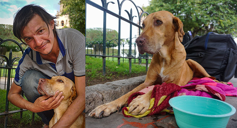 HISTORIAS. Cuando salvar es más que un acto: la historia de Coffee y Ricardo