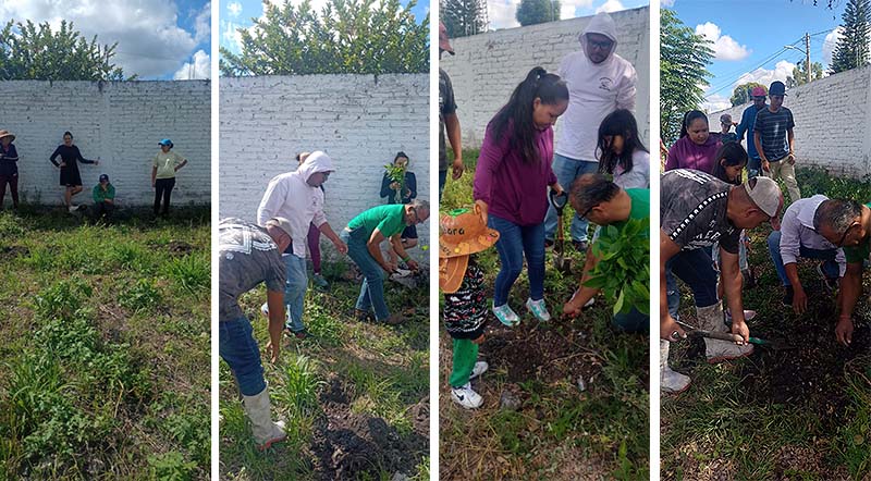 Brigada Puruándiro reforesta y cambia el entorno en la comunidad Agua Clara