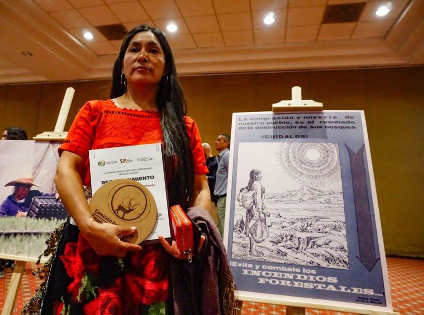 GRANDES MICHOACANAS. En tres años incentivó la siembra de 5 millones de árboles en Michoacán: Es María de los Ángeles González Ramos