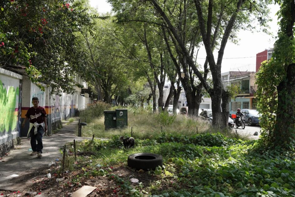 Entre maleza y grafitis, el abandono del antiguo Hospital General “Dr. Miguel Silva”