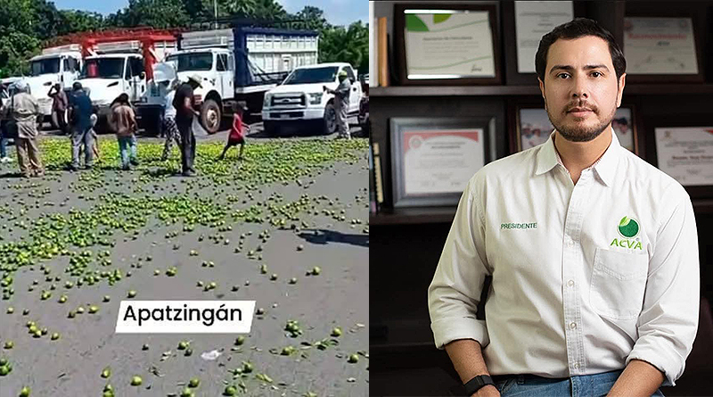 Se debe cancelar el acto solemne de Apatzingán por criminalidad, complicidad e impunidad: Partidos