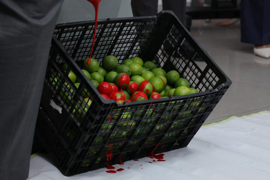 Impunidad fomenta asesinatos de luchadores sociales; quienes asesinaron a Hipólito Mora son verdugos de los limoneros: Memo Valencia