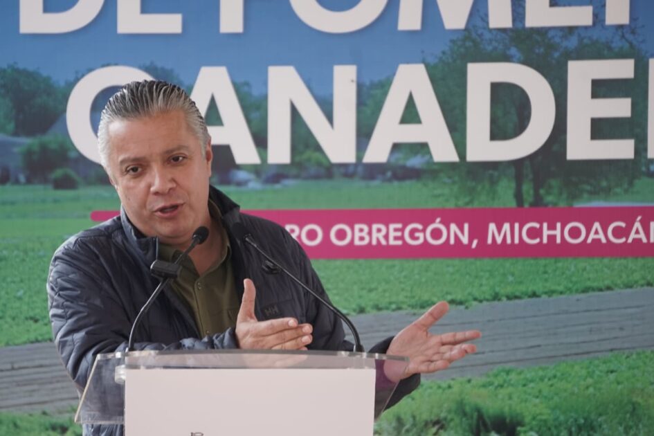 Un total de 20 municipios solicitaron adelanto de las participaciones 2026, se le dio preferencia a Uruapan: Luis Navarro