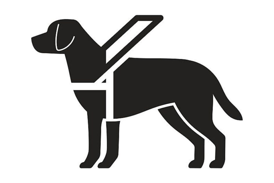 Poder Judicial de Michoacán, primer tribunal del país en incorporar formalmente la perspectiva de seres sintientes en su política pública